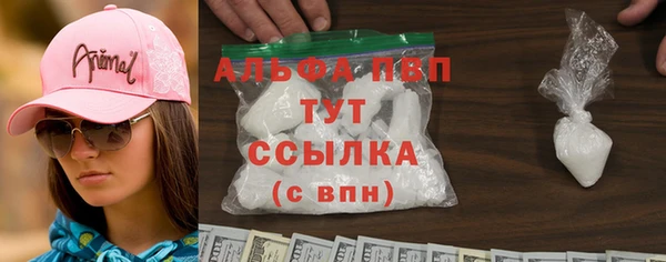 гидра Арсеньев