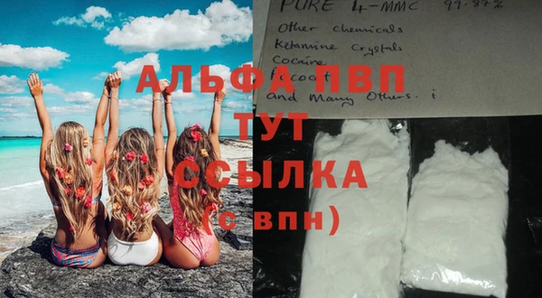 дживик Аркадак