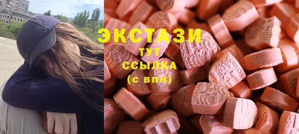 гидра Арсеньев