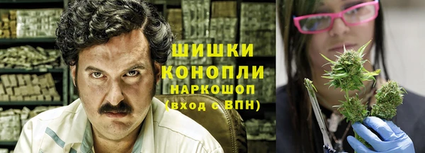 гидра Арсеньев
