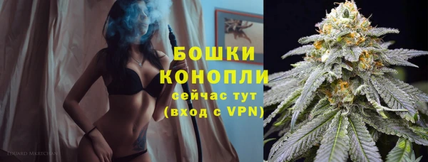 дживик Аркадак