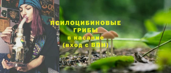 дживик Аркадак