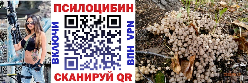 Псилоцибиновые грибы GOLDEN TEACHER  хочу   Сортавала 